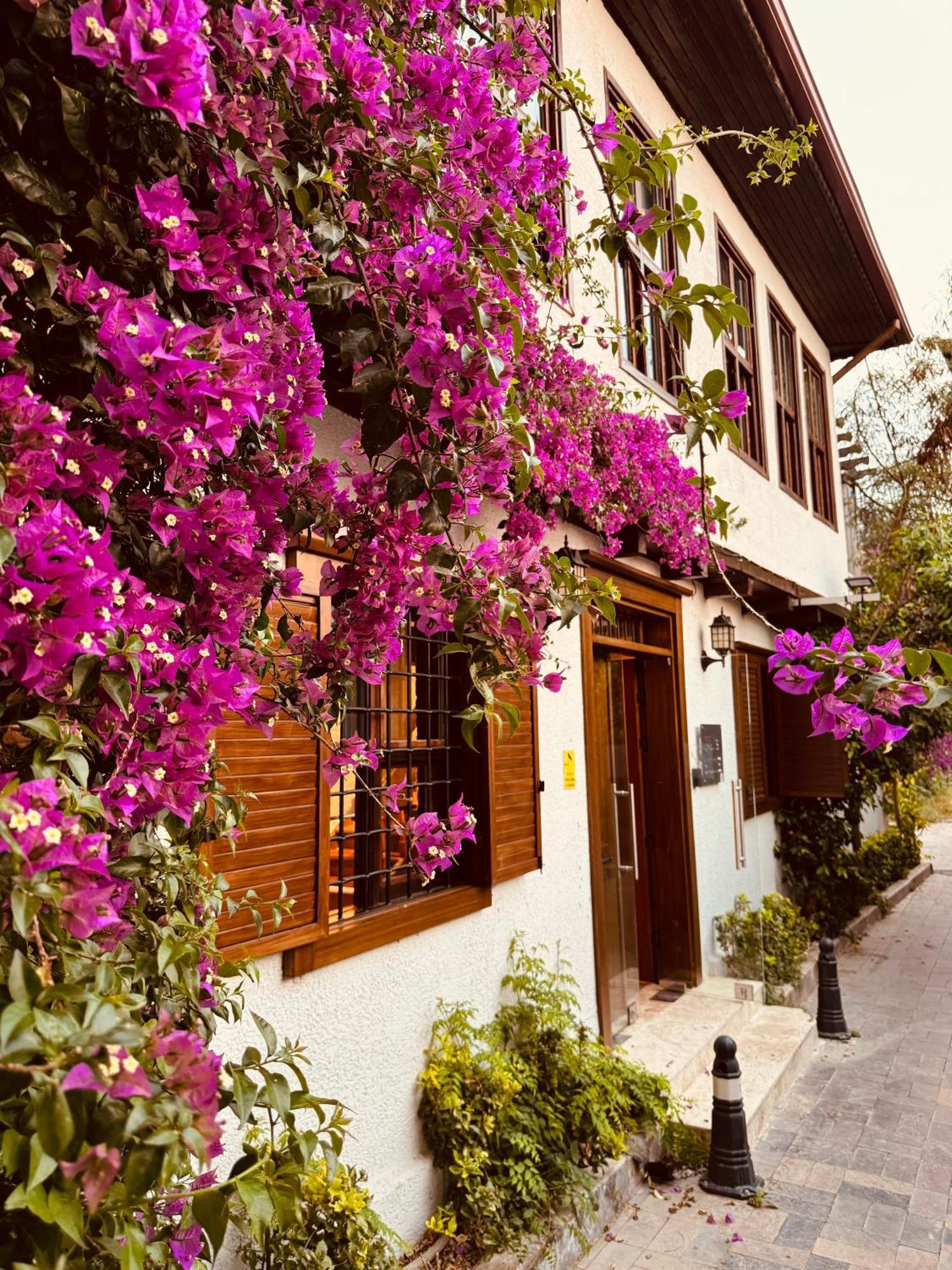Villa Nills *