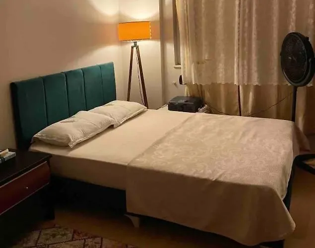 Mugo Rental Apartments Cheap Sleeping Rooms Houses