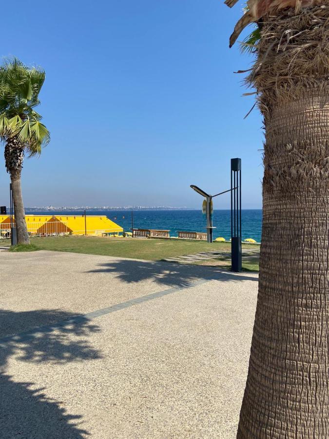 Frühstückspension Zeynel Boutique 3*