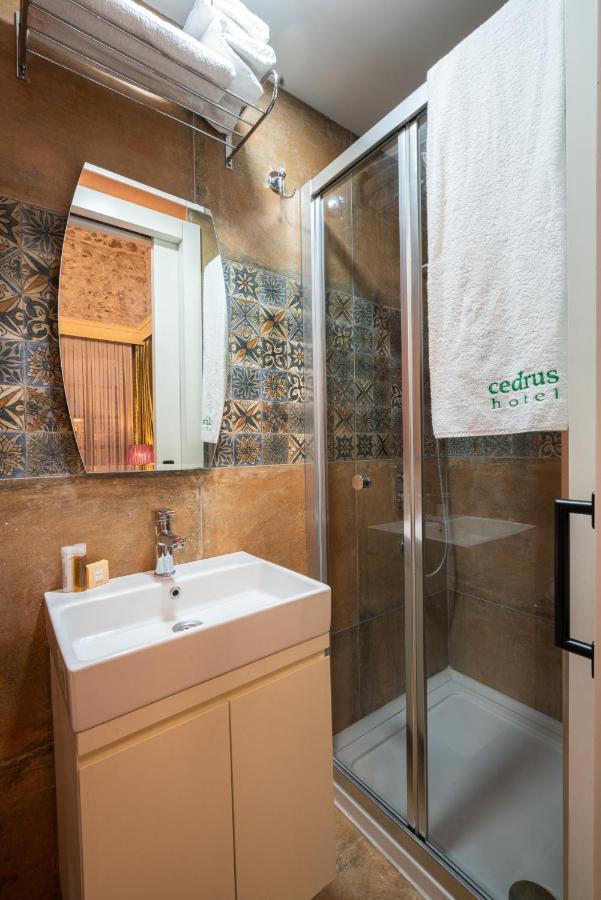 Cedrus Antalya
