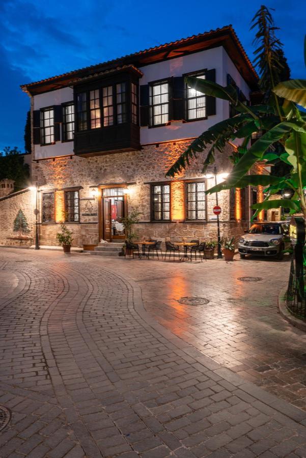 Cedrus Hotel 2*