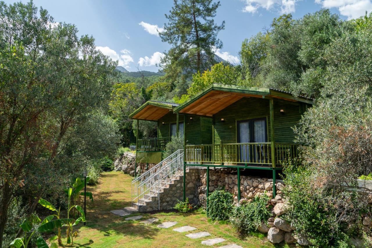 Hotel Apa Mountain Antalya