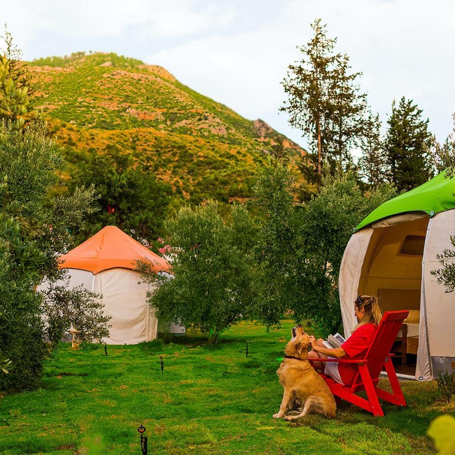 Lüks kamp alanı Chingene Glamping