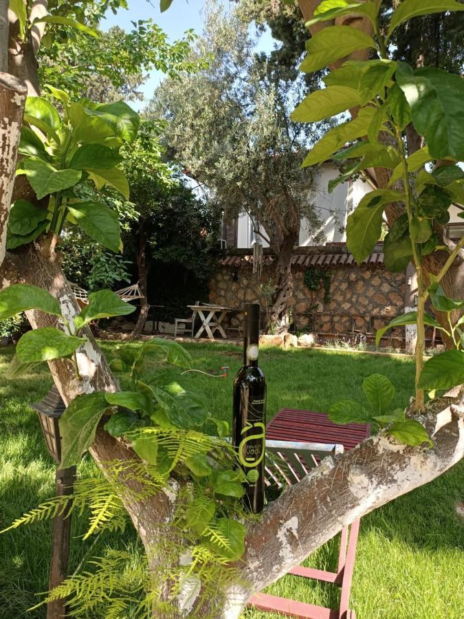 Hadrianus Pansion 3* Antalya