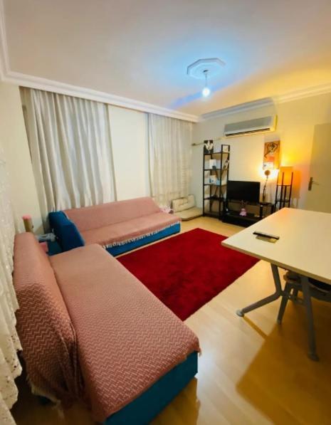Apartment Mugo Cheap Sleeping Houses *