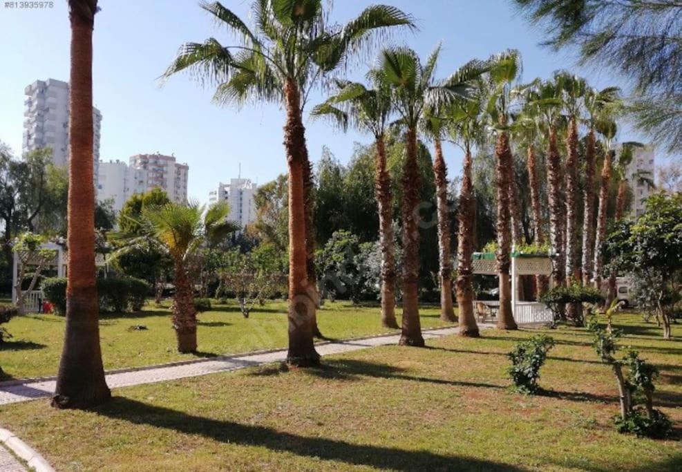 Luks Tripleks 180° Deniz Dag Manzarali Merkez De