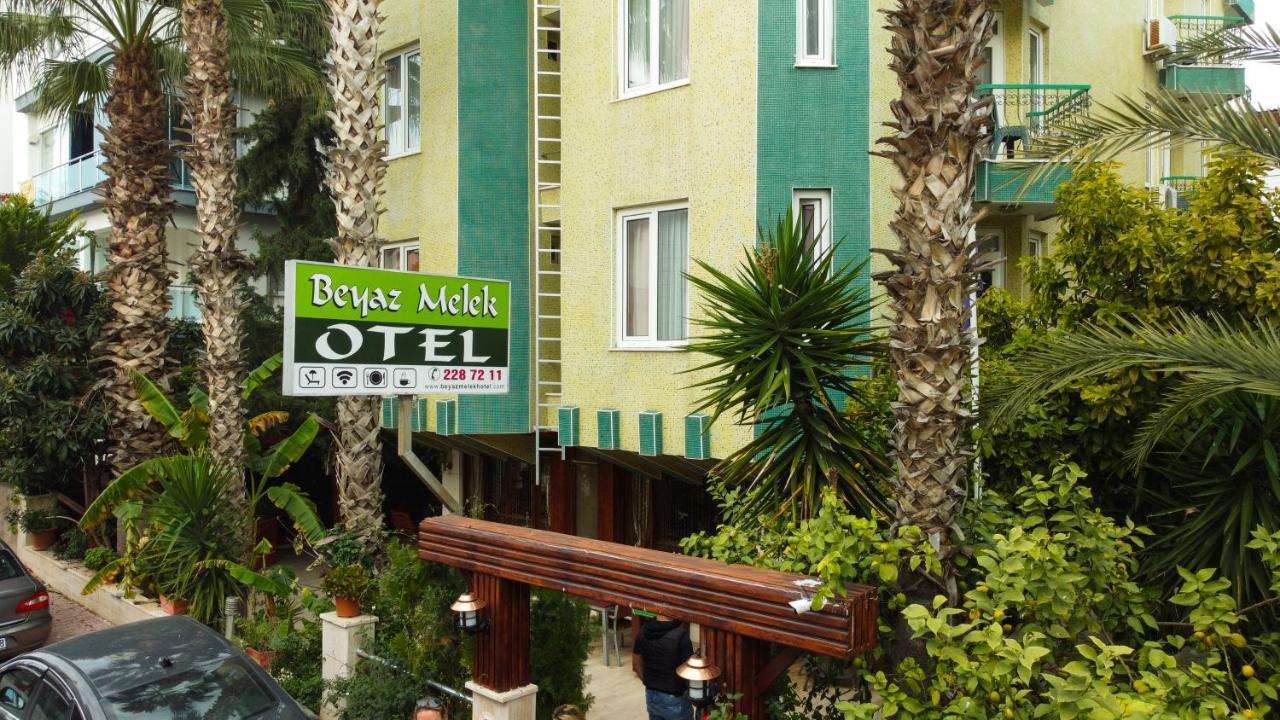 Beyaz Melek *
