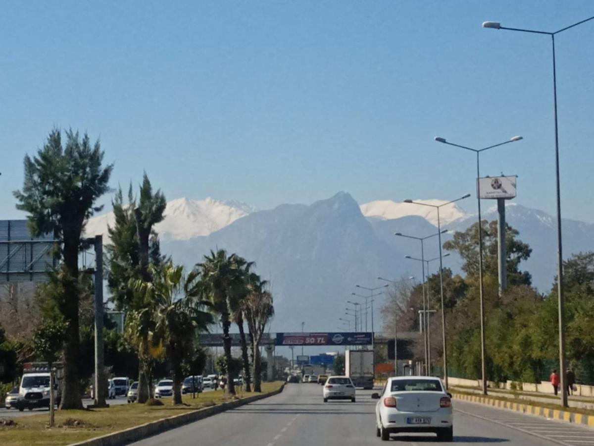 Mugo Cheap Sleeping Houses Antalya