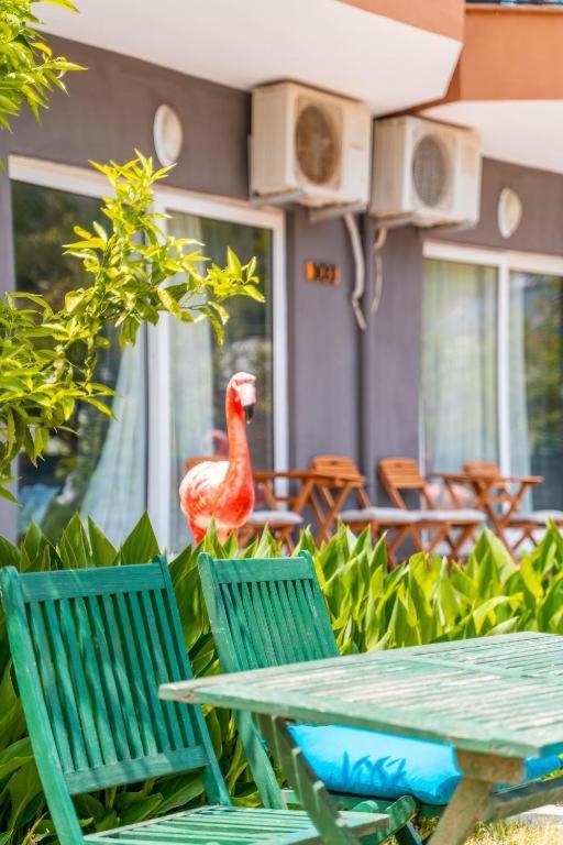 Gizlikoyhotel Hotel