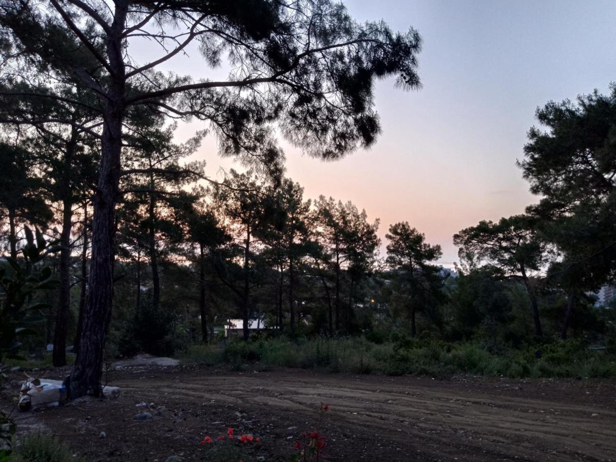 Seyirtepe Evleri * Antalya