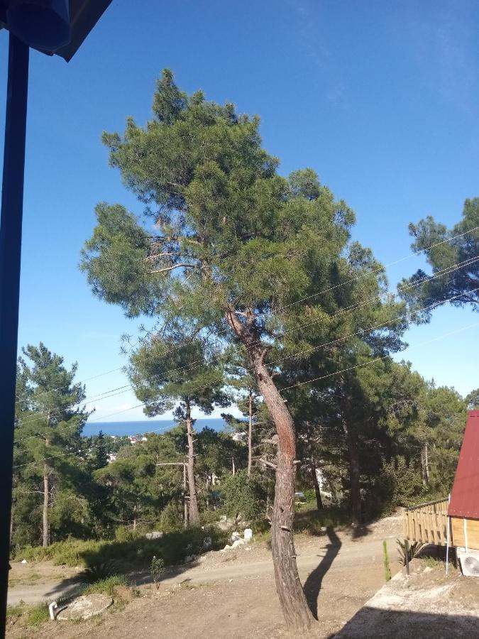 Tatil Evi Seyirtepe Evleri