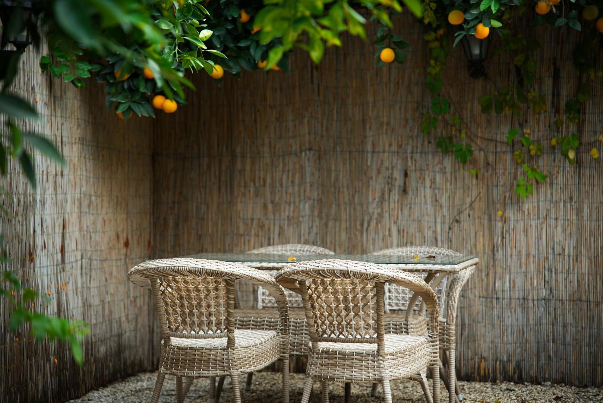 Collesium Garden Antalya