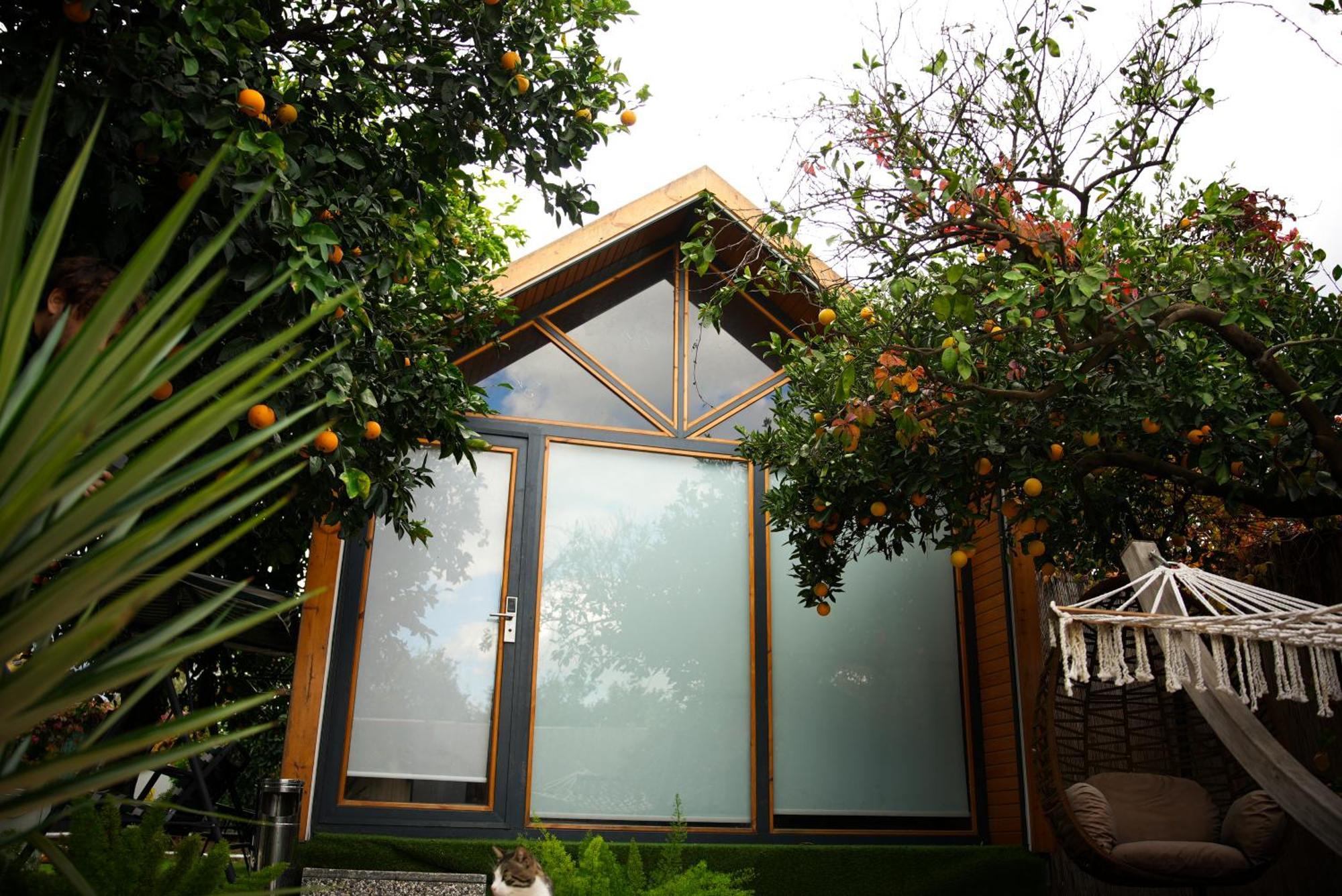 Aparthotel Collesium Garden