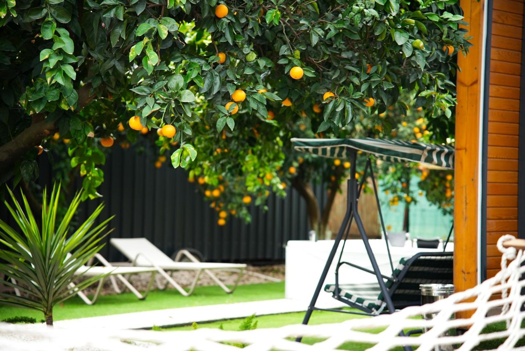 Collesium Garden Aparthotel Antalya