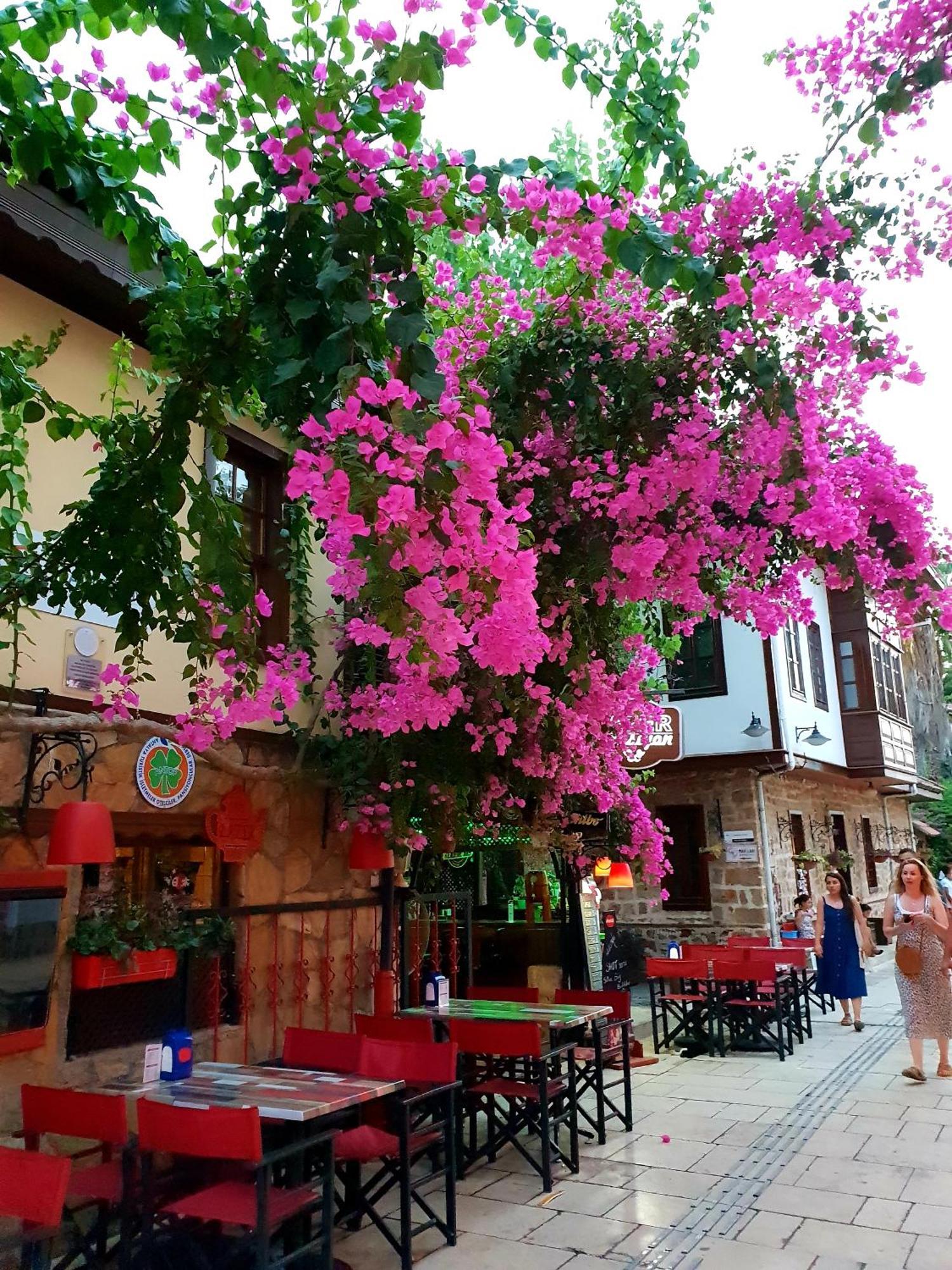 Sea Town Utku