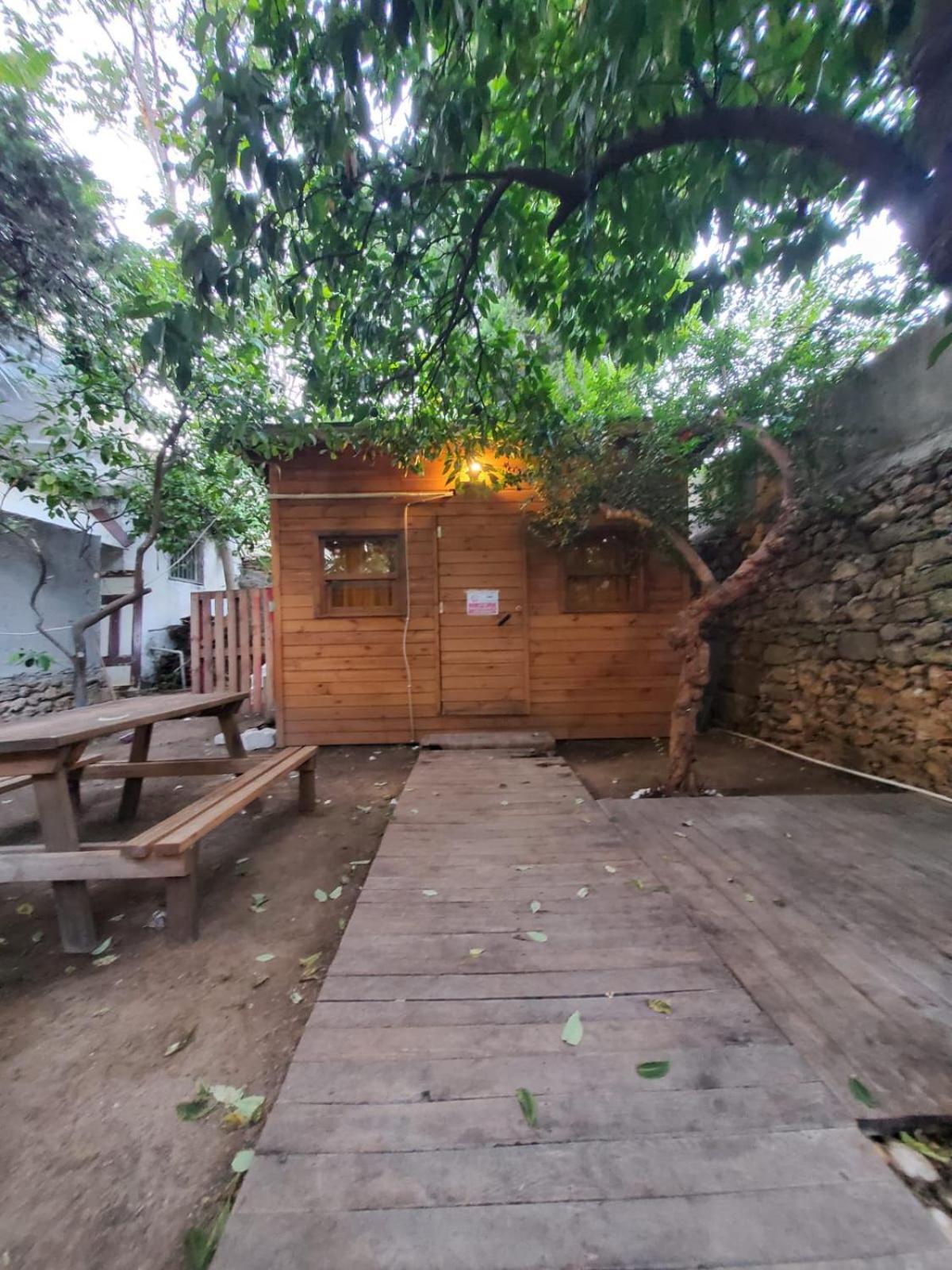Antique House *