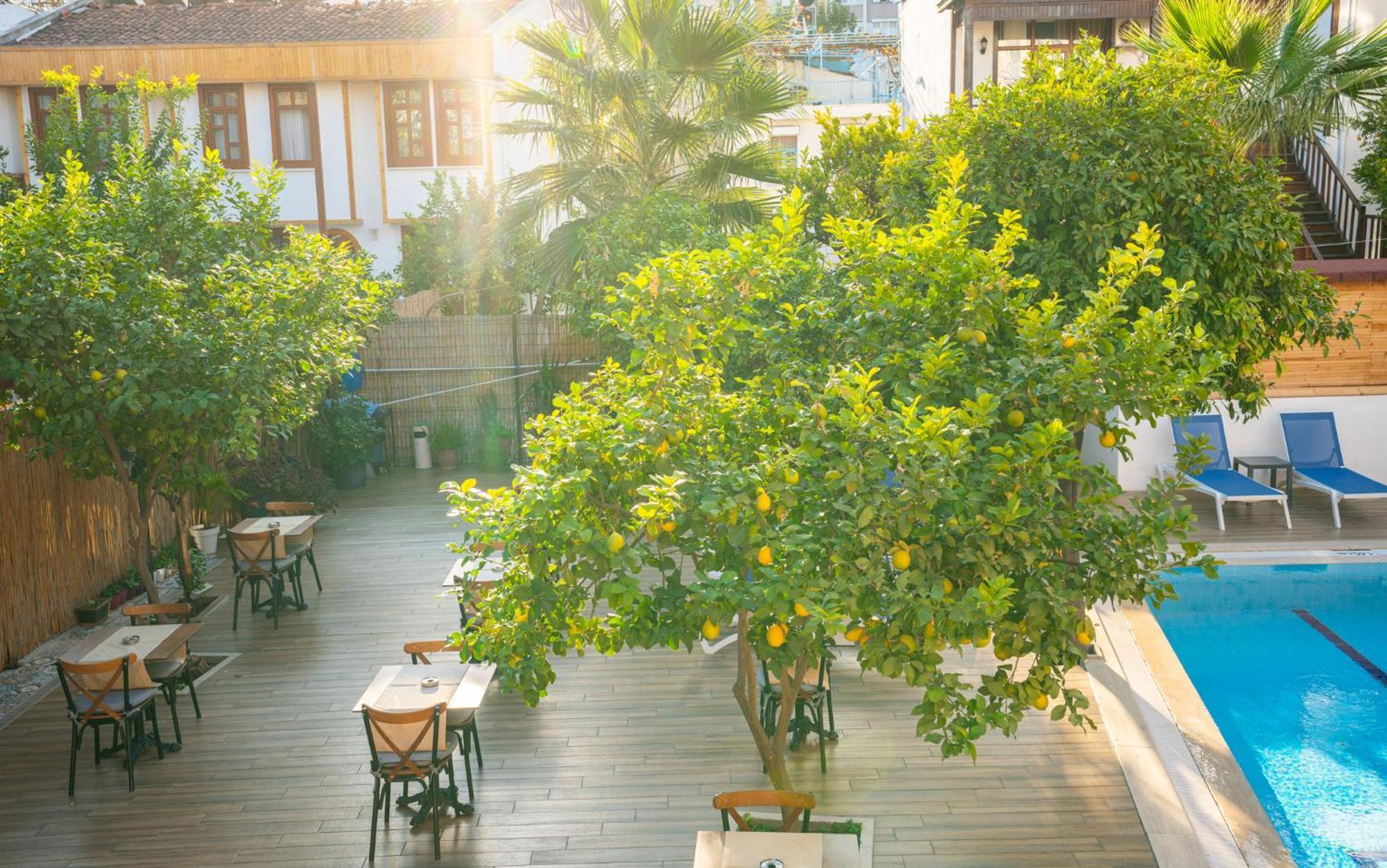 Otel Oscar Garden