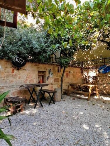 Kuyu Beergarden Hostel *