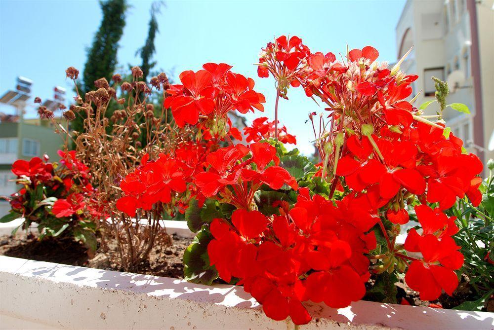 Hotel Lara Diamond Antalya