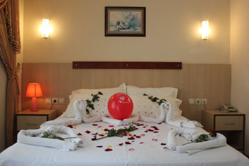 Hotel Safari