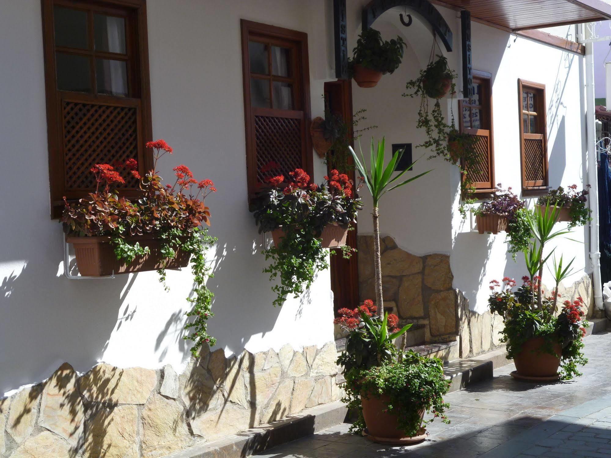 Frankfurt 2* Antalya