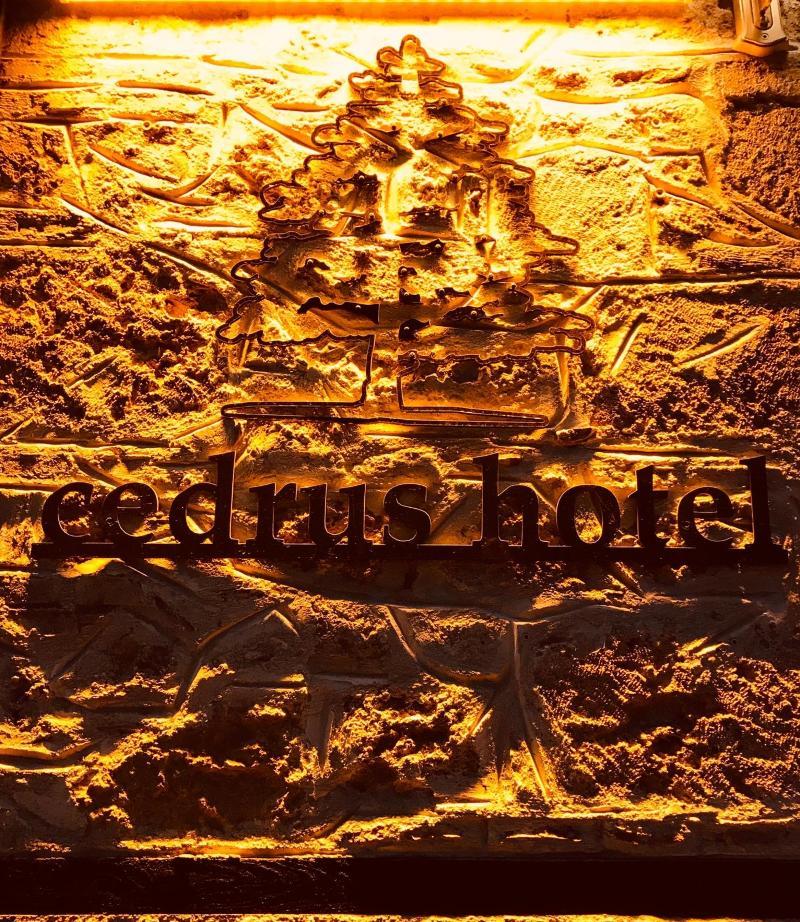 Hotel Cedrus