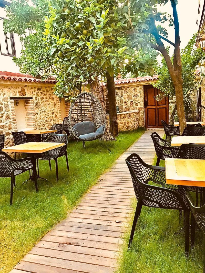 Cedrus Antalya