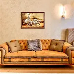 Jazzy Homes Top Class,100 Mb Fast Internet