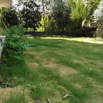 Merkezi Ve Lokasyon Muekemmel Konforlu