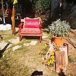 Demeter Rose Stonehouse Pansion