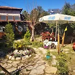 Demeter Rose Stonehouse Pansion