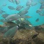 Antalya Adrenalin