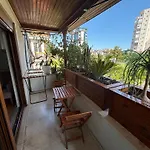 Orange Garden