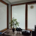 Dodonohome