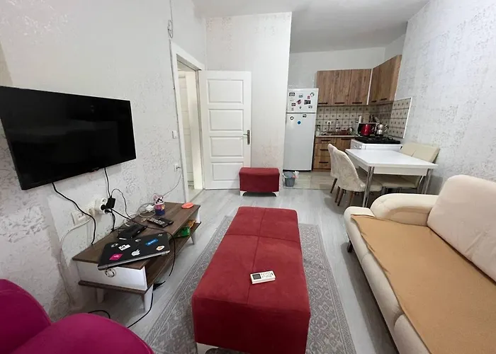 A New Nice House With Garden In City Center
