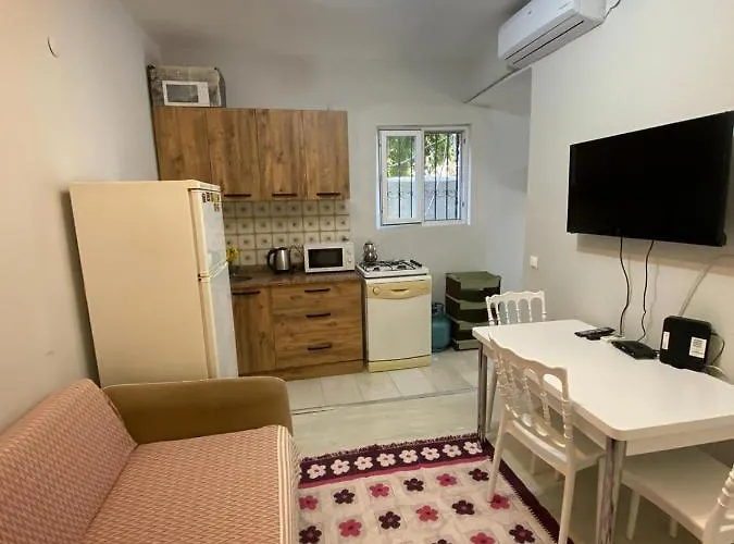 2+1 Full Furnitured House In City Center
