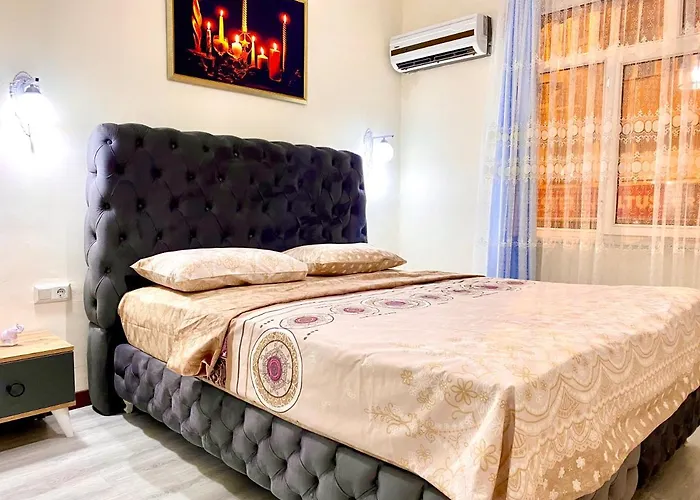 Jazzy Homes Top Class,100 Mb Fast Internet