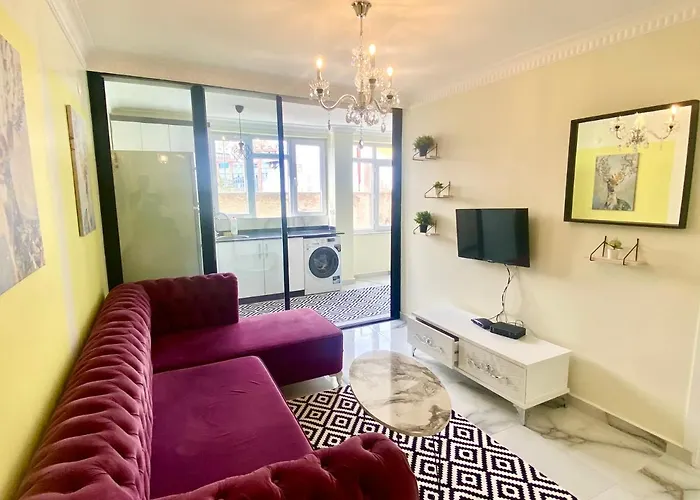 Jazzy Spectacular Homes 100 Mb Wi-Fi
