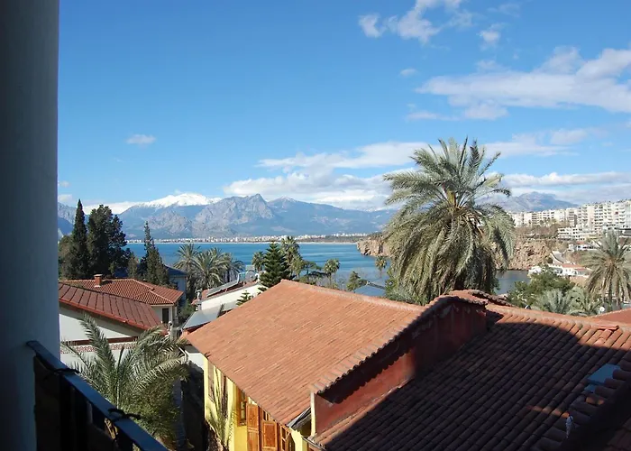 Villa Tulipan