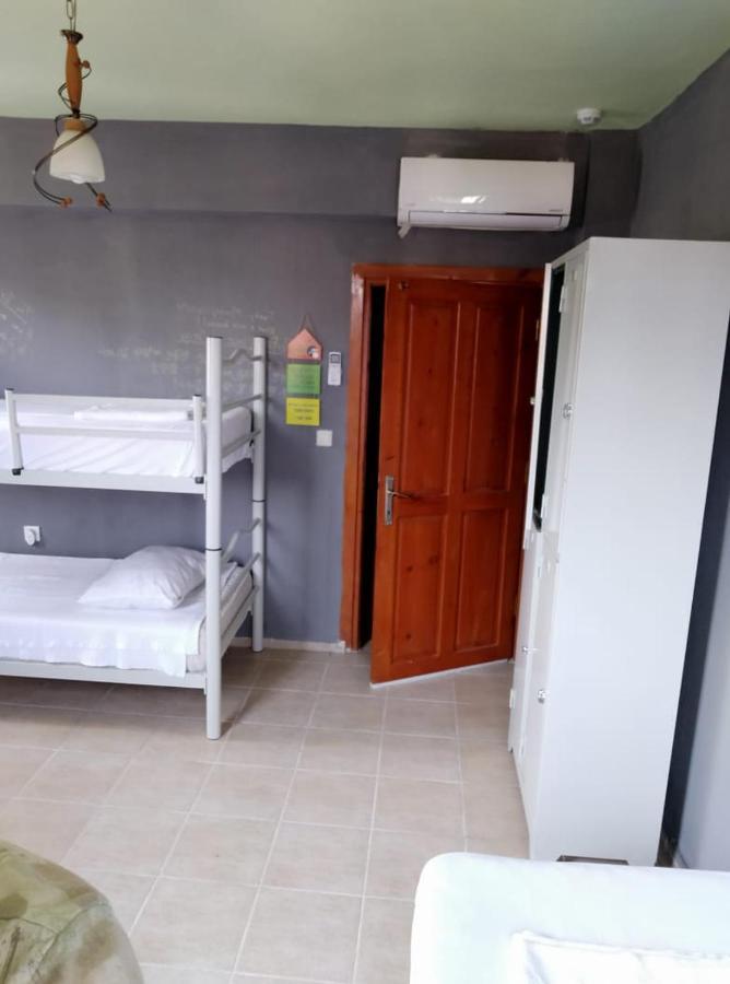 Funky Monkey Hostel&pub Hostel