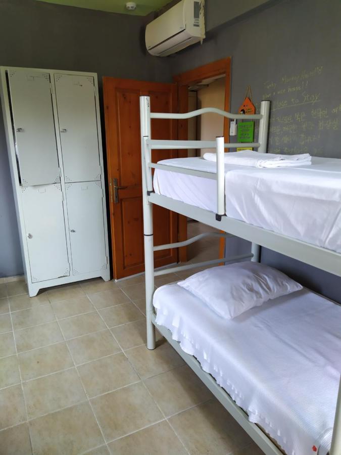Funky Monkey Hostel&pub