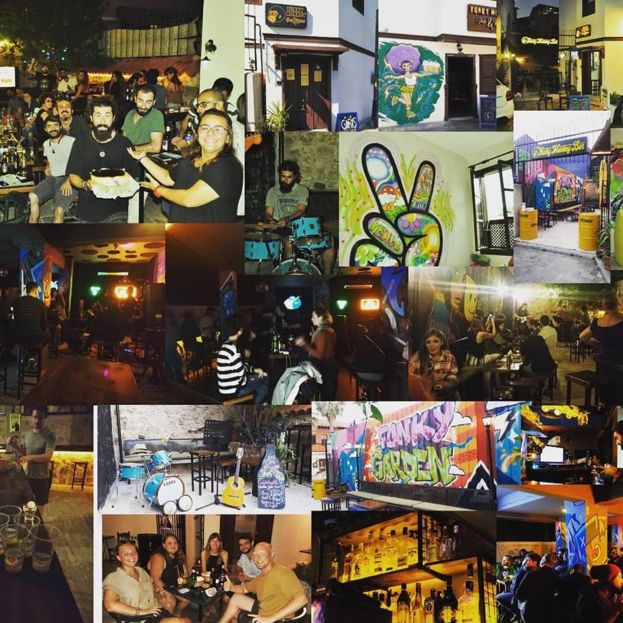 Funky Monkey Hostel&pub Hostel