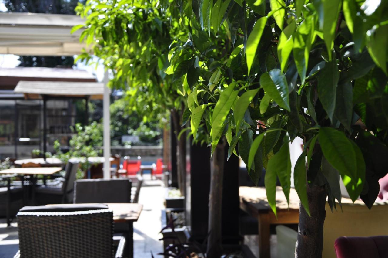 Hotel Kosa Boutique