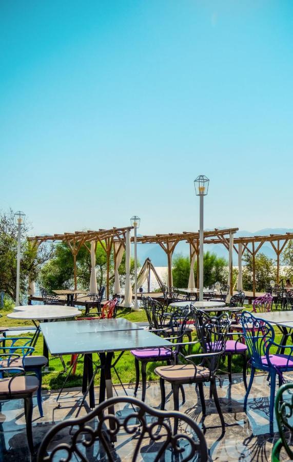 Hotel Lucky Monkey Antalya