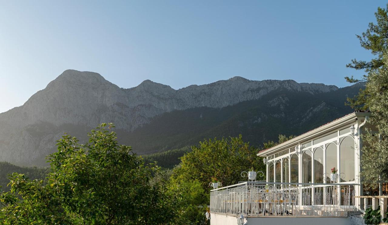 Hotel Apa Mountain