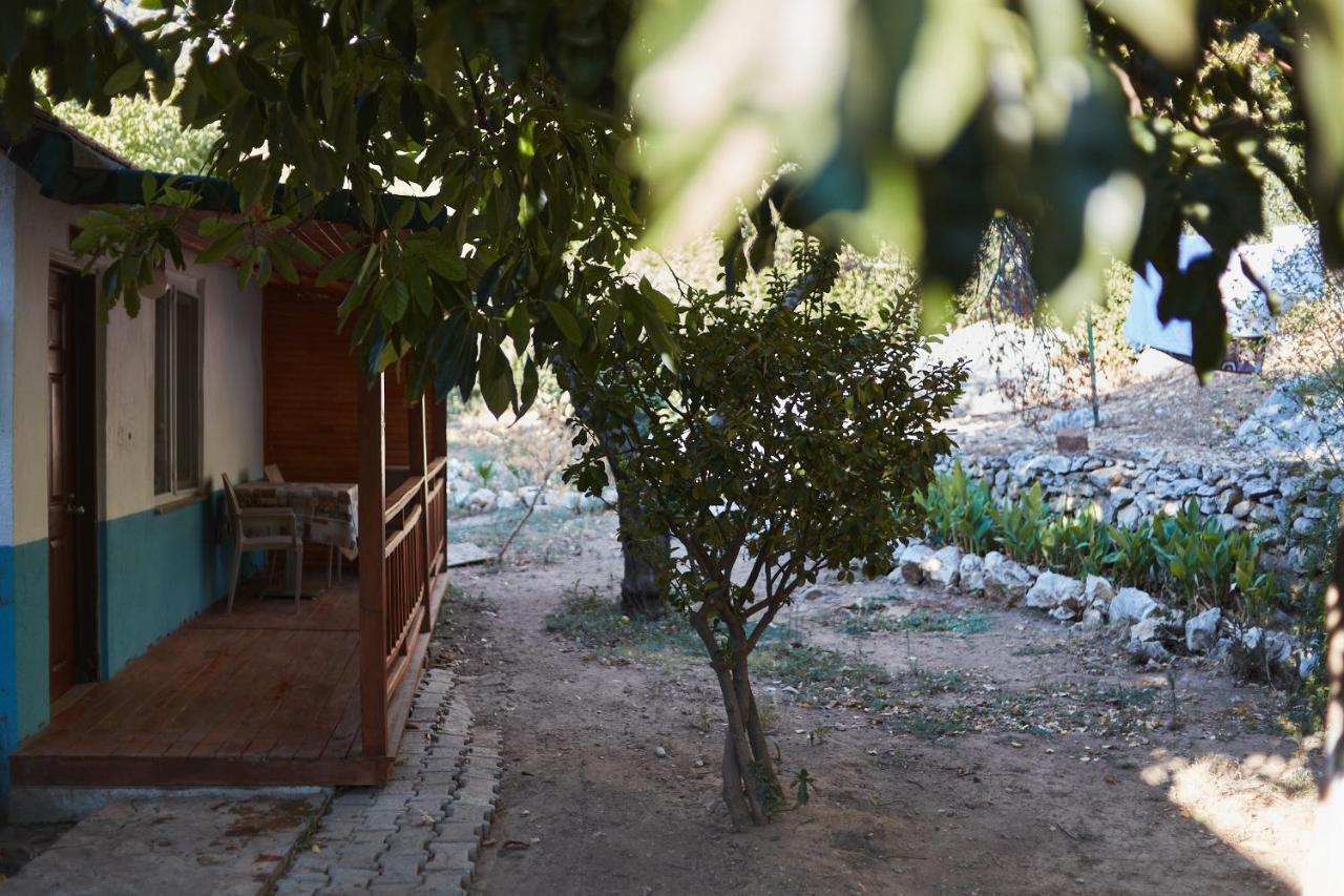 Village Garden *