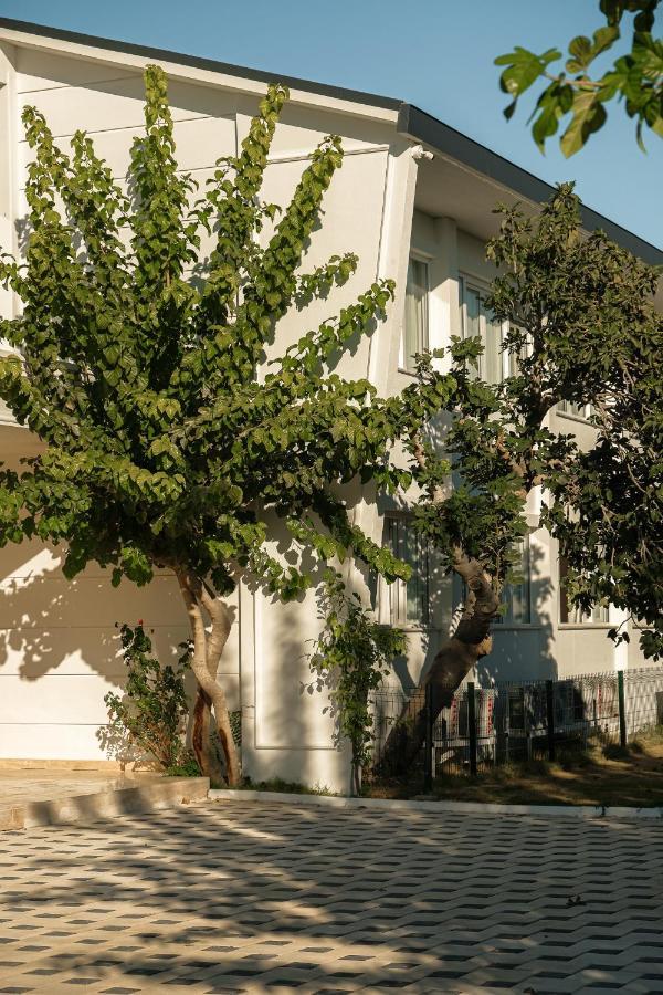 Raw Hotel Antalya