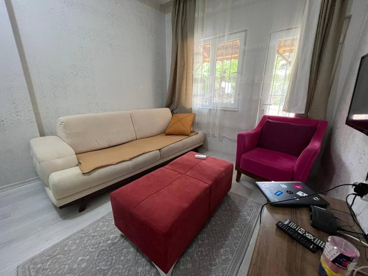 A New House With Garden In Center *
