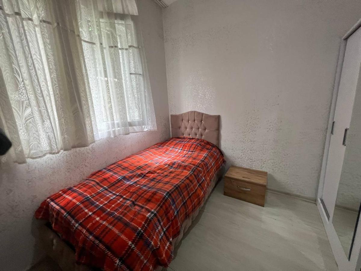 Daire A New House With Garden In Center