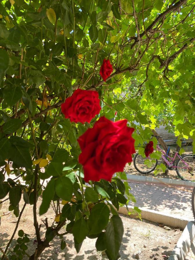 A New House With Garden In Center Apartment Antalya